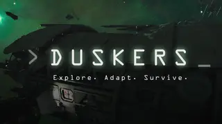 Duskers