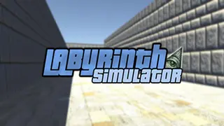Labyrinth Simulator