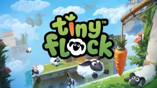 Tiny Flock
