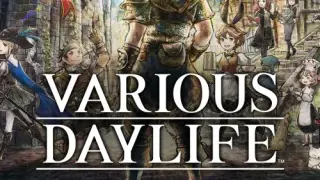 VARIOUS DAYLIFE - Switch
