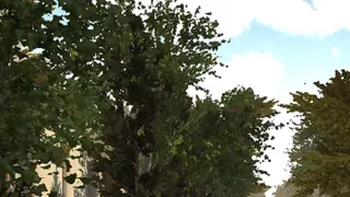 ne pas toucher les murs (Xbox One)