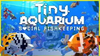 Fun Aquarium Bundle