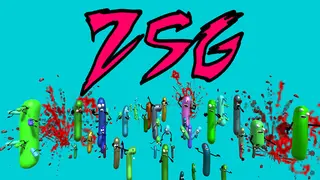 ZSG