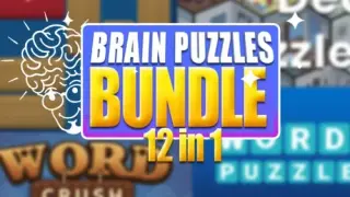 Brain Puzzles Bundle 12 in 1 - Switch