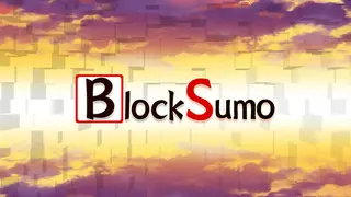 Block Sumo