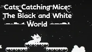 猫抓老鼠:黑白世界