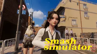 Smash Simulator