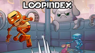 Loopindex