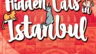Hidden Cats in Istanbul - Switch