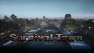 Survival Town