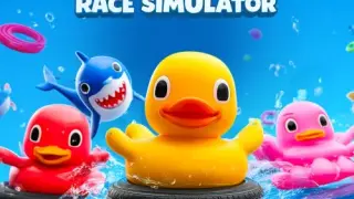 Rubber Duck Race Simulator - Switch