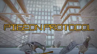Pigeon Protocol
