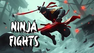 Ninja Fights