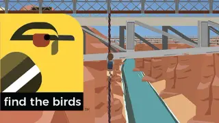 Find the Birds