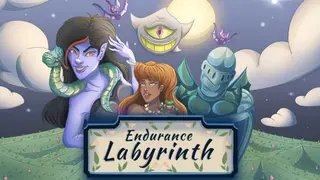 Endurance Labyrinth