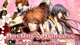 Destiny's Princess: A War Story, A Love Story - Switch