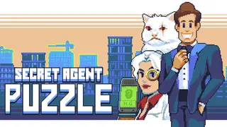 Secret Agent Puzzle