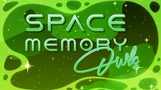 Space Memory: Owls