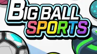 BIG BALL SPORTS - Switch