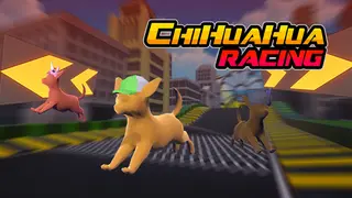 Chihuahua Racing