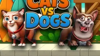 Cats vs Dogs - Switch