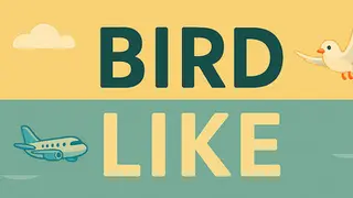 Bird Like