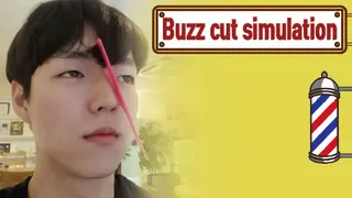 Buzz Cut Simulation