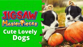 Cute Lovely Dogs - Switch