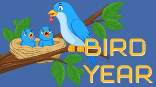 Bird Year