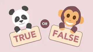 True or False