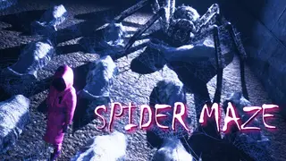 Spider Maze