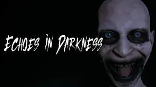 Echoes in Darkness