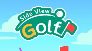 Side View Golf - Switch