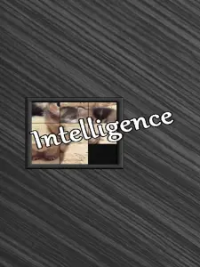 Intelligence