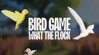 Bird Game: What The Flock