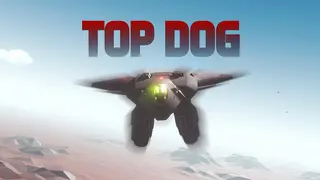 TOP DOG