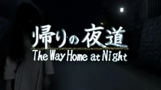The Way Home at Night