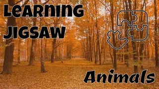 Learning jigsaw - Animals