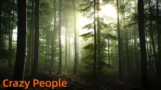 Crazy People