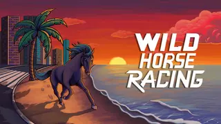 Wild Horse Racing