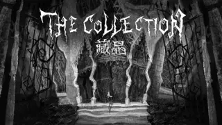 The Collection藏品