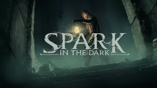 Spark in the Dark DEMO