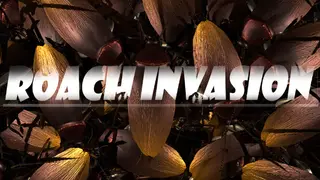 ROACH INVASION