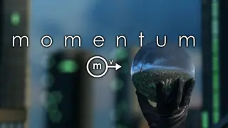 Momentum