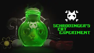 Schrodinger's Cat Experiment