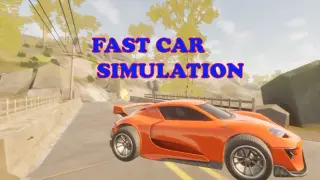 Fast car simulation