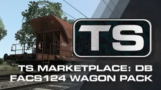 TS Marketplace: DB Facs124 Wagon Pack