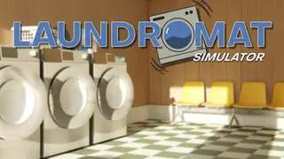 Laundromat Simulator