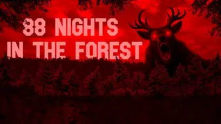 88 NIGHTS IN THE FOREST