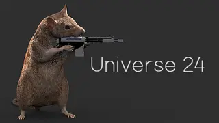 Universe 24